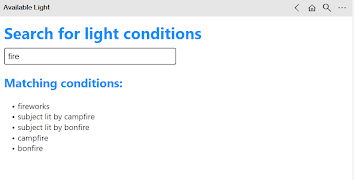 Available Light 截图 5