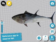 Fish 3D Reference screenshot 6