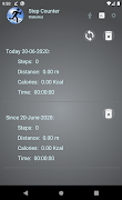 Step Counter imagem de tela 2