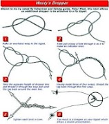 برنامه‌نما Fishing Rod عکس از صفحه