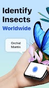 Picture Insect: Bug Identifier poster