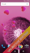 Dandelion Live Wallpaper screenshot 5