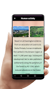 amazon rainforests 截图 2