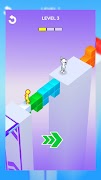Risky Bridge poster