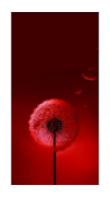 5 Schermata RED WALLPAPER HD