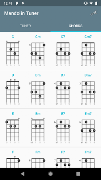 Mandolin Tuner ポスター