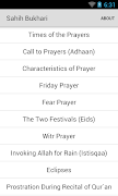 Sahih Bukhari Screenshot 1