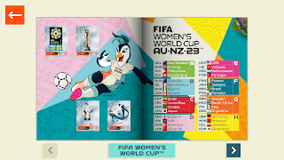 FIFA Panini Collection 海报