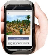 Mis Cactus syot layar 2