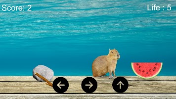 Capybara Adventure - By Chava screenshot 3