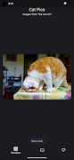 Cat Pictures ภาพหน้าจอ 3
