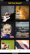 Did You Know Facts ảnh chụp màn hình 5