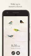 Dawn Chorus 포스터