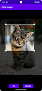 برنامه‌نما Search By Image عکس از صفحه