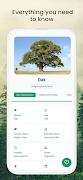 Tree Identifier: Learn Collect imagem de tela 1