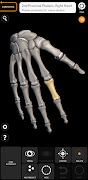 برنامه‌نما Skeleton | 3D Anatomy عکس از صفحه