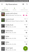 iNaturalist screenshot 2