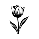 El Tulipán Negro - Libro APK