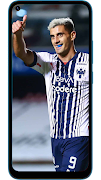 Monterrey Wallpapers 포스터