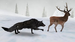 Wolf Simulator 2016 capture d'écran 1
