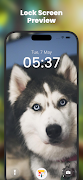 Animal Wallpapers HD | 4K screenshot 7