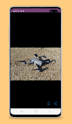 eachine e520s guide screenshot 5