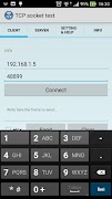 TCP Socket screenshot 1
