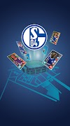 Schalke Quest স্ক্রিনশট 3