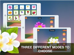Flowers Learning Flashcards syot layar 5