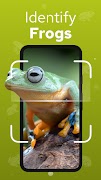 Frog Identifier - Frogium poster
