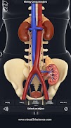 برنامه‌نما Urinary System Pro. عکس از صفحه