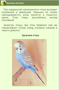 Попугаи screenshot 6