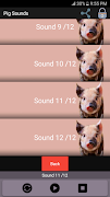 Pig Sounds screenshot 2