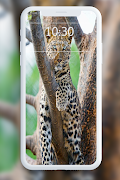 Leopard Wallpaper اسکرین شاٹ 7