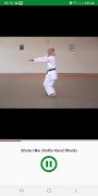 Learn Karate Techniques Ekran Görüntüsü 5