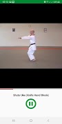 Learn Karate Techniques Ekran Görüntüsü 5