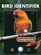 برنامه‌نما Bird Identifier & Guide عکس از صفحه