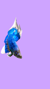 Betta Fish 3D Pro スクリーンショット 4