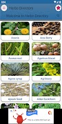Herbs Directory screenshot 1