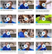 Bed Bugs - Pest (Guide) 截圖 1