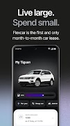 Flexcar постер