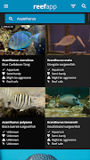 Reef App - Encyclopedia ภาพหน้าจอ 6