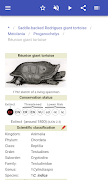 Turtles اسکرین شاٹ 4