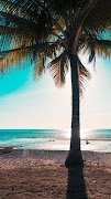 Summer Wallpaper Ekran Görüntüsü 2