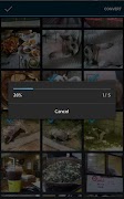 Afbeelding formaat wijzigen screenshot 4