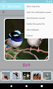 Bird Sound screenshot 7