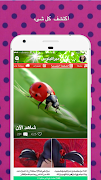 Amino Miraculous Arabic ميراكولوس پوسٹر