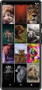 Lion Wallpapers screenshot 3