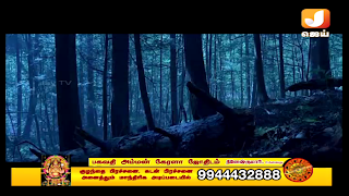 Jaytv TN screenshot 6