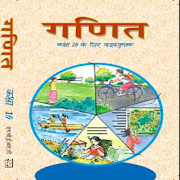 Poster 10th NCERT Maths Solution(Hind